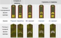 Воинские звания российской армии по возрастанию и категориям